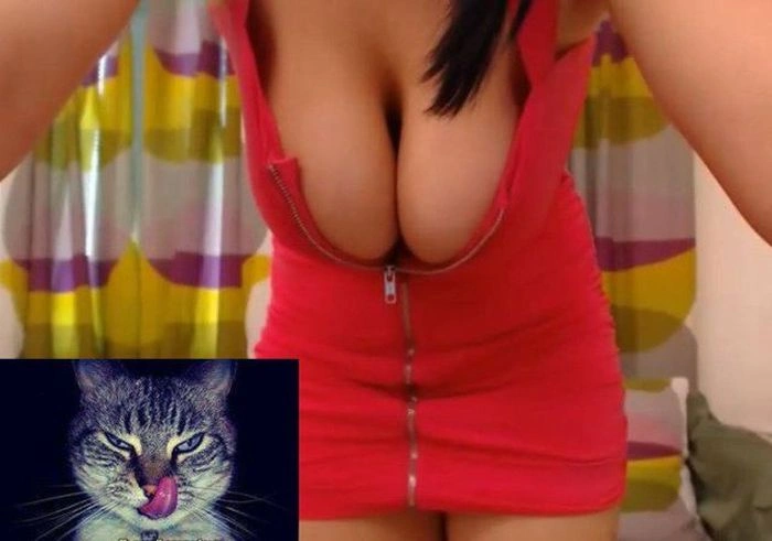 Нецензурні зображення для дорослих. Частина 45 (52 фото) – фото 17