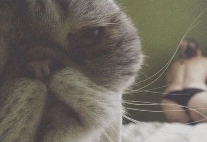 Нецензурні зображення для дорослих. Частина 45 (52 фото) – фото 29