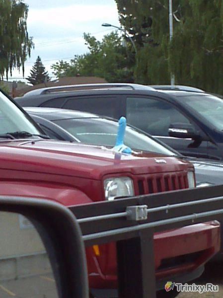 Нецензурні зображення для дорослих. Частина 4 (39 фото) – фото 29