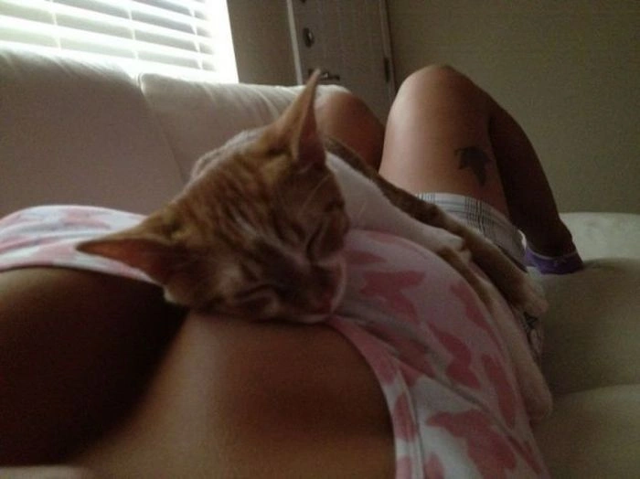 Непристойні зображення для дорослих. Частина 43 (47 фото) – фото 6