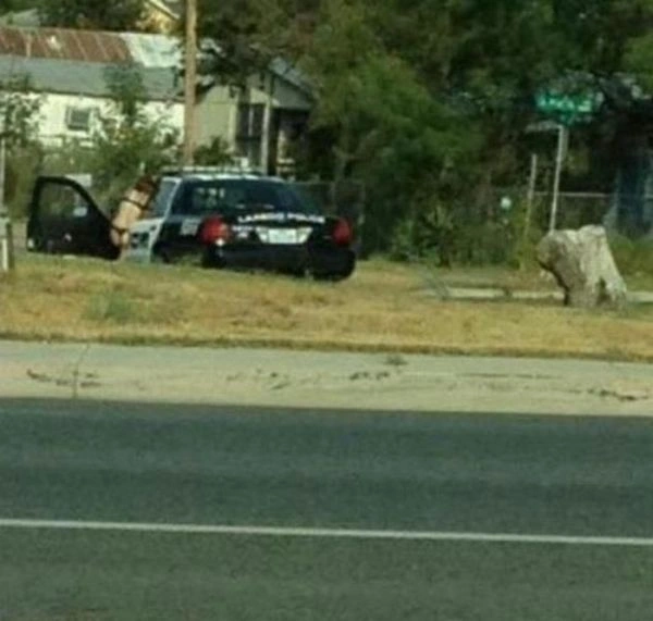 Нецензурні зображення для дорослих. Частина 16 (45 фото) – фото 42