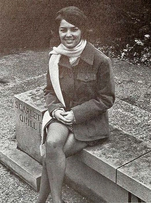 Короткі спідниці з минулого (107 фото) – фото 71