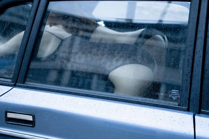 Сексуальні сідниці струнких дівчат (47 фото) – фото 39