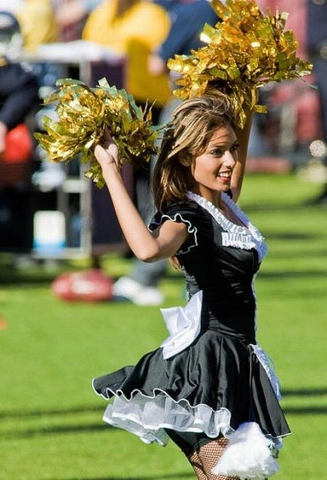 Дівчата з групи підтримки команд NFL (92 фото) – фото 33