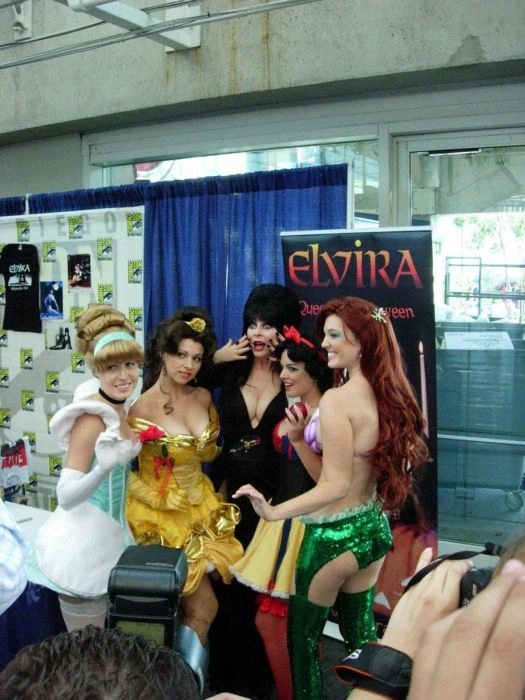 Сексуальні принцеси (30 фото) – фото 6