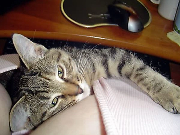 Щось не вміщається в декольте (21 фото) – фото 10